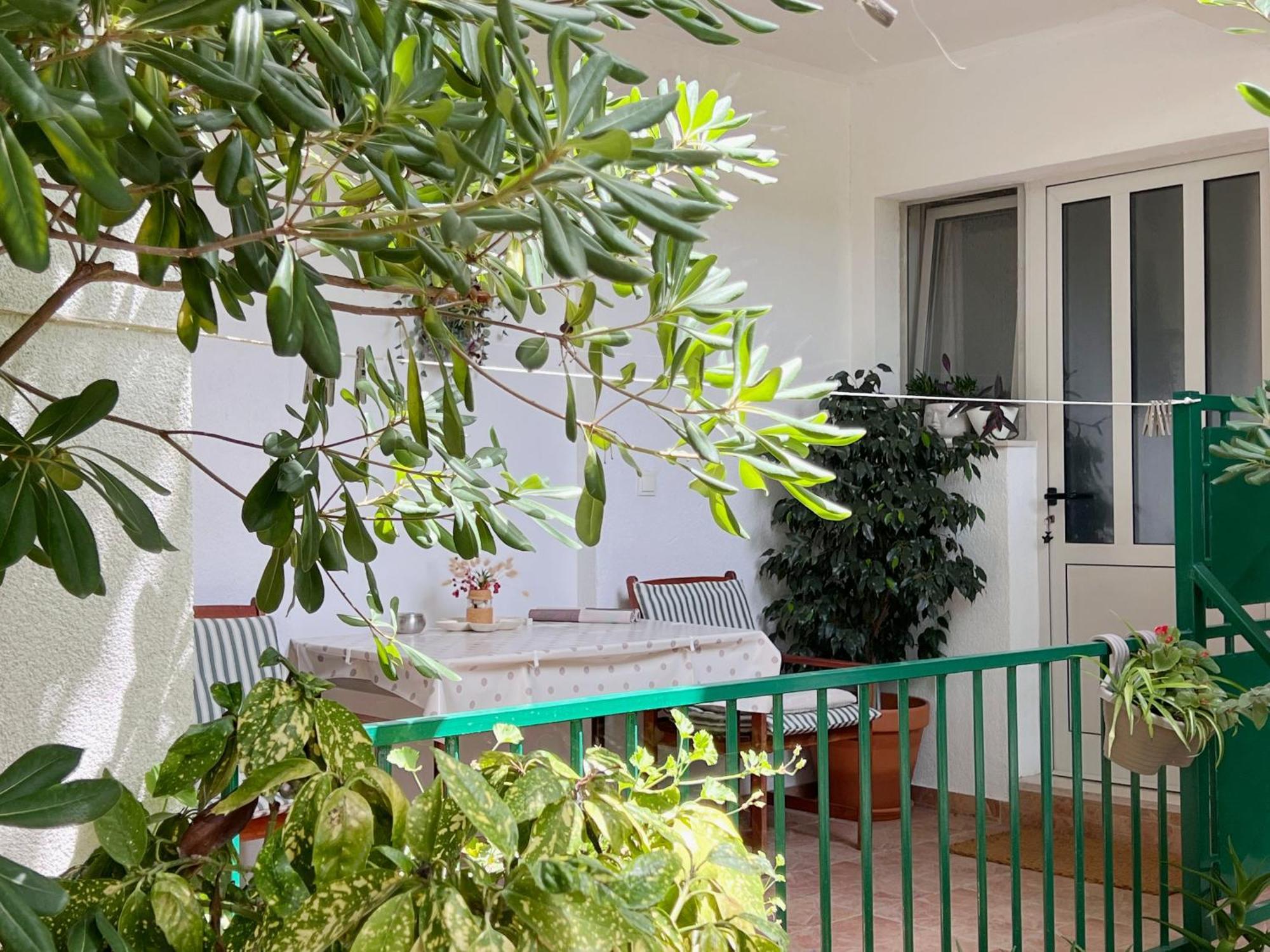 Room Tai - Spacious And Comfy With Private Terrace Hvar Town Dış mekan fotoğraf